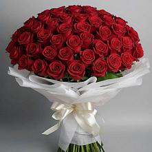 Букет 101 Красная роза Блэк Мэджик в Леонтьево