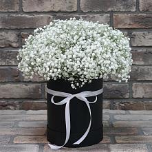 Цветочная композиция из Гипсофила в шляпной коробке в Леонтьево